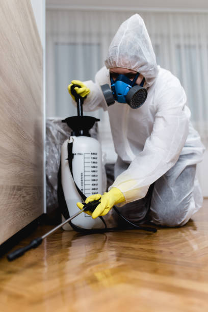 Reliable St Louis, MO Pest Control Solutions